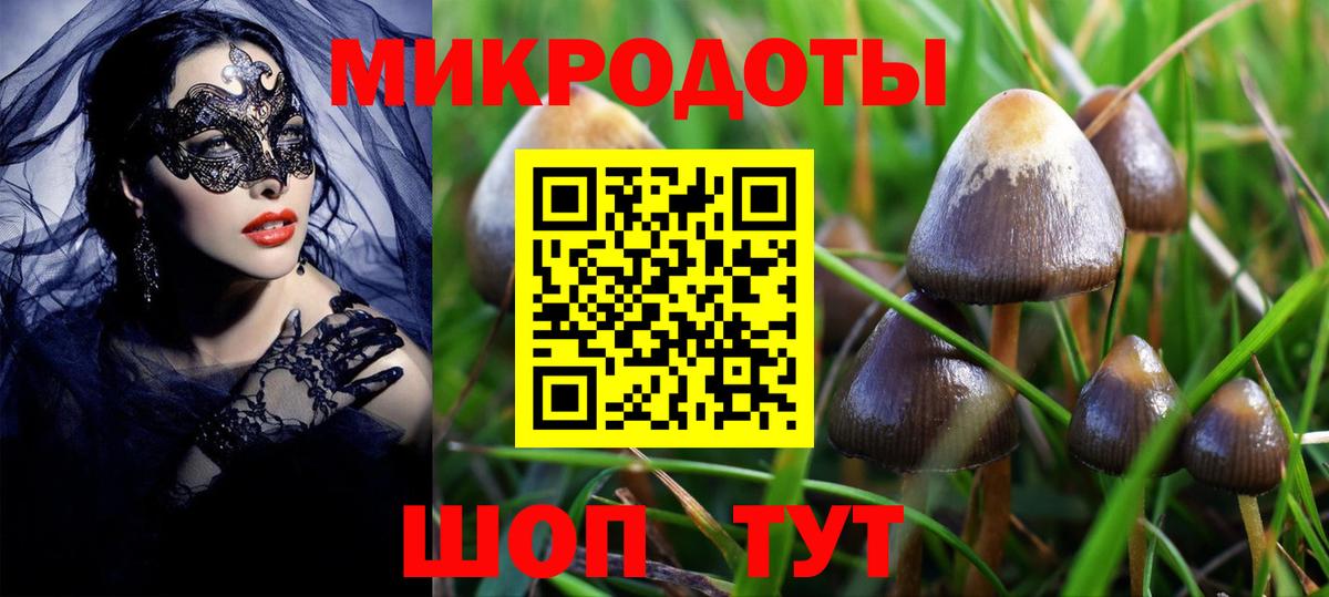 Галлюциногенные грибы мицелий Артём