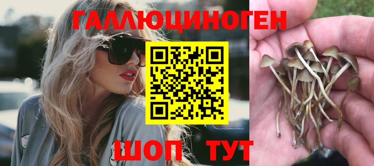 Галлюциногенные грибы GOLDEN TEACHER  Вход с VPN  Артём 